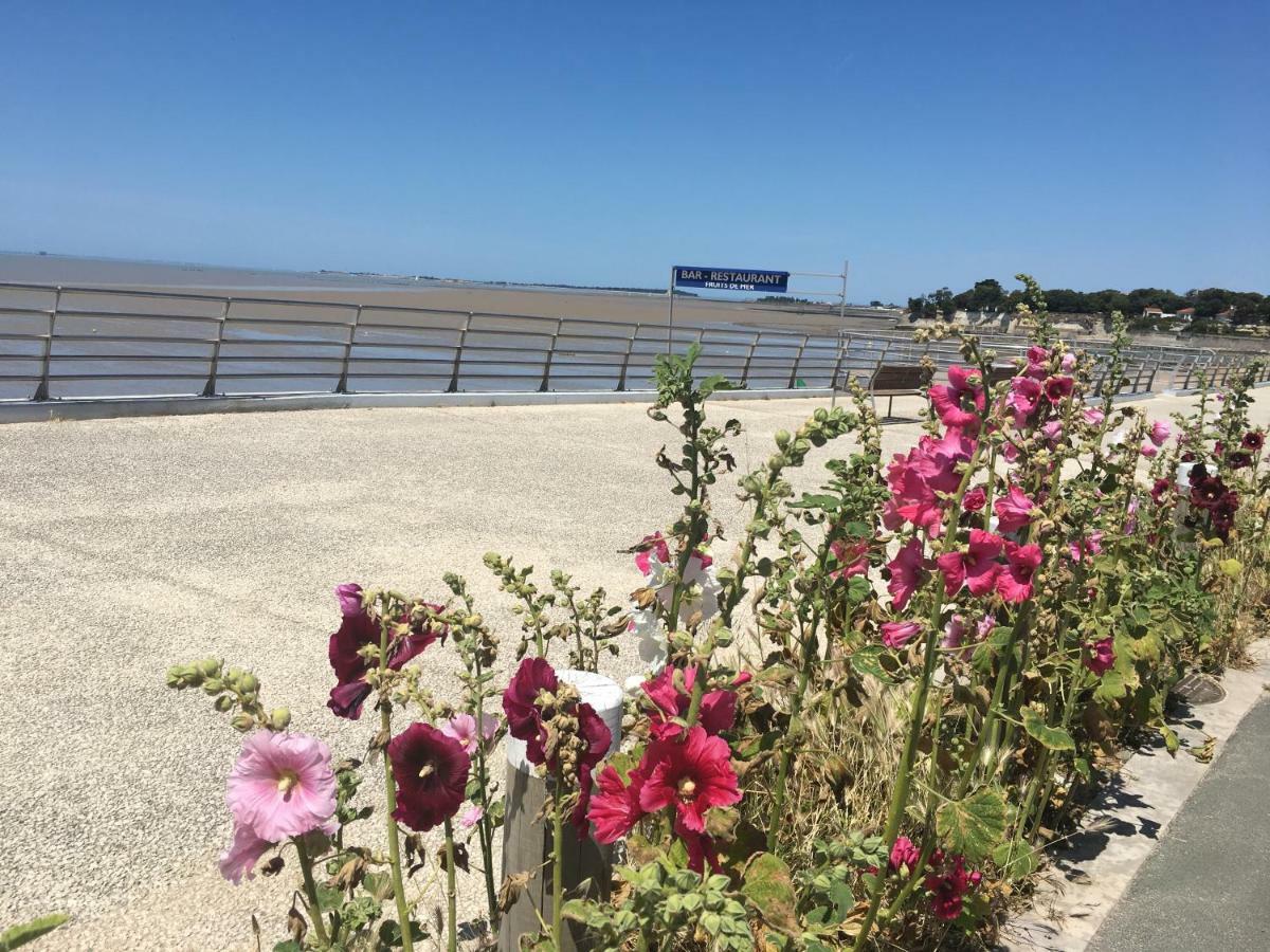 Petit Nid A 50M De La Plage Au Coeur De Фура Екстер'єр фото